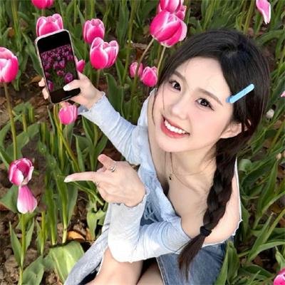 夏绿蒂的网